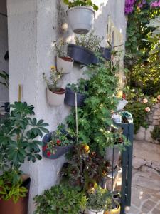 Apartmani Batinović