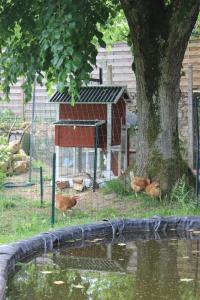 Appartements Un Balcon en Foret : photos des chambres