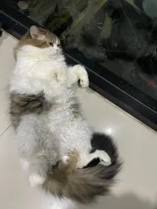 Baan Mae Hostel CNX - Ban Phae Khwang