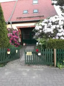 Harzglück - Friedrichsbrunn