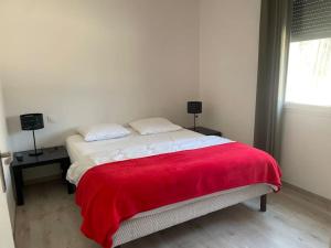Villas Villa Kevin piscine, pool house et petanque 6 a 8 personnes : photos des chambres