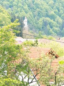 Casa Voinescu Quiet place close to Bran Castle
