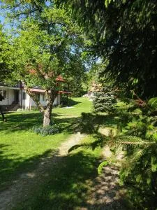 Casa Voinescu Quiet place close to Bran Castle - Sohodol