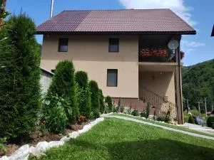 Cabana Lazea - Gheţari