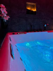Appartements G7 Loft SPA & Terrasse centre Angouleme : photos des chambres