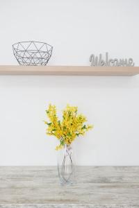 Zoé apartman, központhoz közel