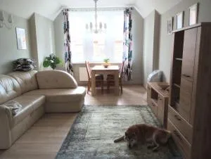 Apartament Shiba - Oliva