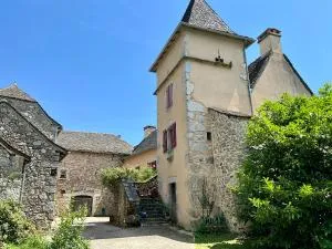 Beautifully Restored Farmhouse Villa - La Fouillade