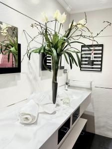 Estancia Única en Aguadulce