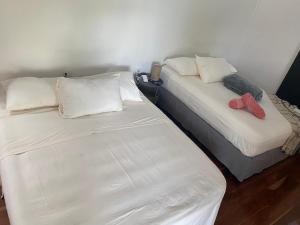 Cahuita Nest Containers studio homes