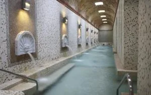 芭雅瑞斯温泉康体公园酒店 - 伊柳埃卡