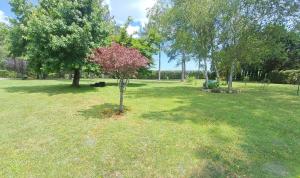 DOMAINE LARBUT