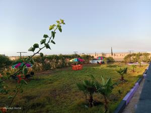Aboulayt home 4