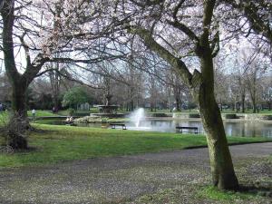 Castlewhite - UCC Summer Beds