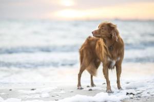 Big A1 Art Deco Apt with stunning city & beach views