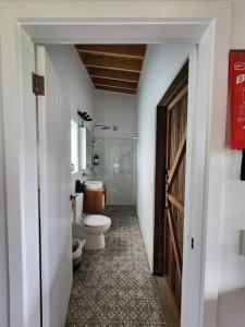 The Shedio On Saddleback