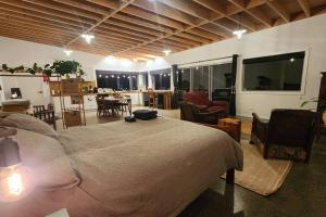 The Shedio On Saddleback