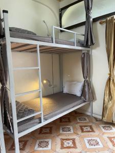 Downtown Backpacker Hostel