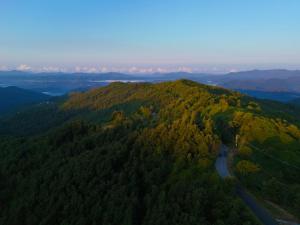 Terra Del Bosco Agriturismo