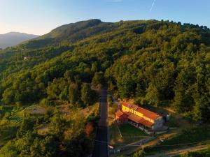 Terra Del Bosco Agriturismo