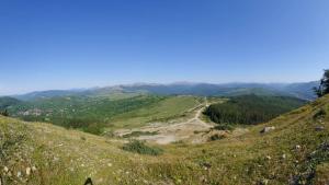 Căsuța din livadă