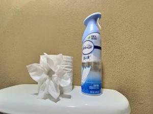 Cozy, Modern Apartment in Belmopan