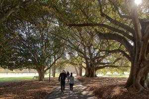 Central South Yarra Sensation 2Bdr Brilliance