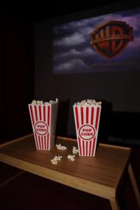 Appartements Le Cine-Nid : photos des chambres