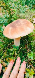 Niebiański Zakątek