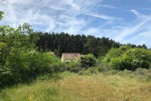 Maisons de vacances Entre dunes et pins : photos des chambres
