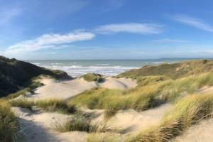 Maisons de vacances Entre dunes et pins : photos des chambres