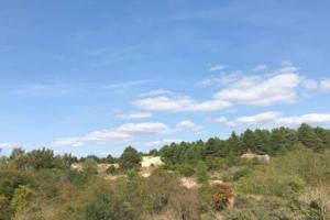 Maisons de vacances Entre dunes et pins : photos des chambres