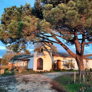 Maisons de vacances Le Castel de Lamothe : photos des chambres