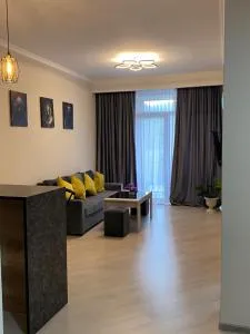 Alvina Complex 12_Project_ - 萨克德佐尔镇