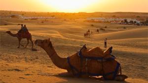 Royal pavilion camps