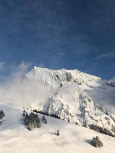 Appartements Superbe studio pied des pistes- linge de maison non fourni : photos des chambres