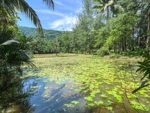 Ranong Resort and Laguna