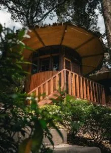 Eco Conservation Landak Luxury Tents - Bohorok