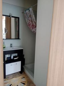 Appartements T2 climatise avec jardin privatif et stationnement : photos des chambres