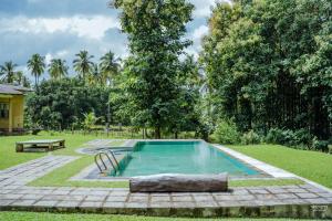 Rivendell Twisted Tree