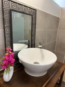 La Cachette Albigeoise, APPARTEMENT PLEIN CENTRE, PARKING GRATUIT SECURISE