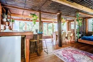 Melaleuca - Macmasters Beach