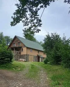 Kiruly Gyöngye - Füle