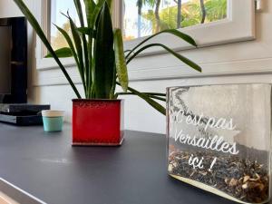 Appartements Rouen Gare - le Cabanon Grand Large : photos des chambres