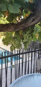 La maison Provençale avec Piscine