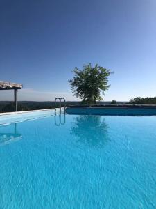 Maisons de vacances Villa dans le Perigord : photos des chambres
