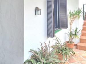 Noctua Estepona Benavista 026