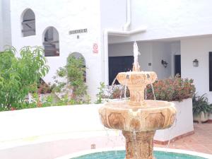 Noctua Estepona Benavista 026