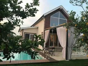 KırlangıçEvi - Kızılyurd