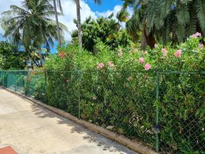 Coastal View Apt #1 - 2 bed